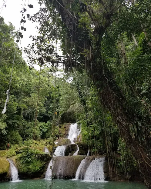 YS Falls cascading through Jamaica's tropical gardens